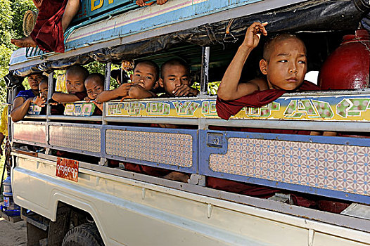 佛教,孩子,僧侣,校车,蒲甘,曼德勒省,缅甸,亚洲