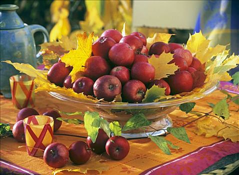 玻璃碗,枫树,叶子,红苹果