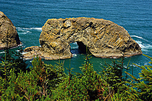 州立公园,俄勒冈海岸,俄勒冈,美国