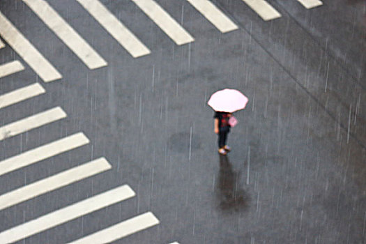 雨中