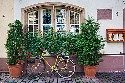 德国,黑森林,老城,附近,自行车