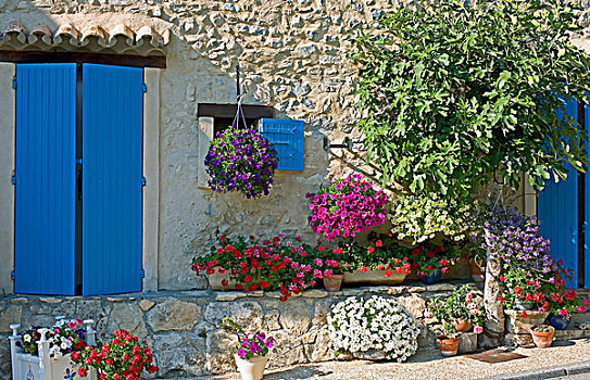房子,蓝色,百叶窗,普罗旺斯,法国