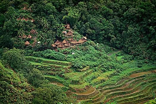 稻米梯田,菲律宾