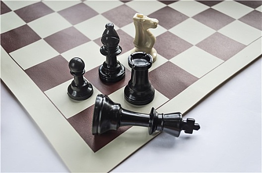 下棋,策略,领导,概念