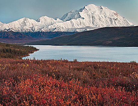 美国,阿拉斯加,德纳里峰,山,麦金利山,旺湖