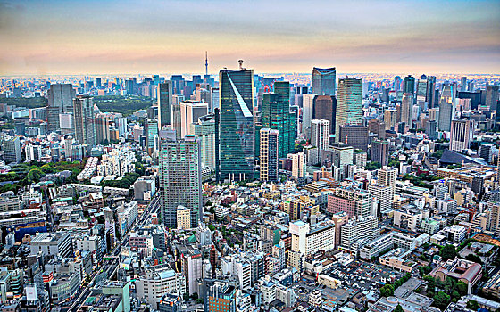 日本,东京,城市,区域,全景