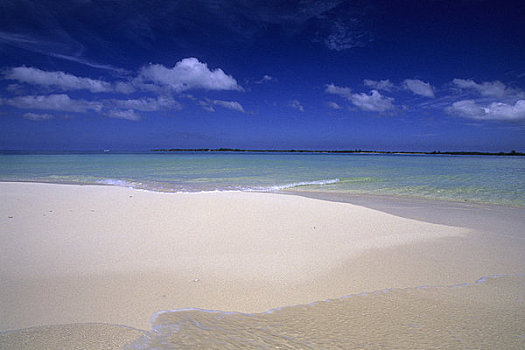 洪都拉斯,海湾群岛,岛屿,白沙滩