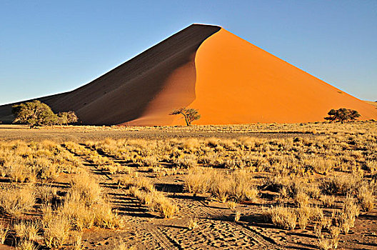 沙丘,下午,亮光,靠近,索苏维来地区,纳米布沙漠,公园,纳米比亚,非洲