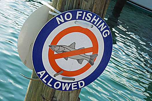 标识,捕鱼,西棕榈滩,佛罗里达,美国