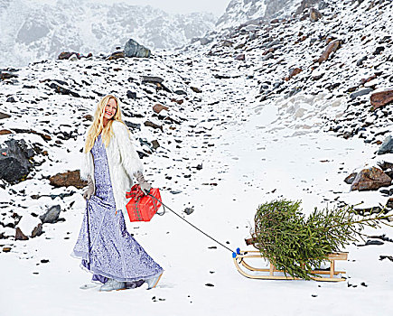 金发女郎,穿,晚礼服,短小,人造毛,外套,拉拽,圣诞树,雪,雪橇