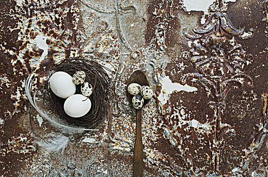 复活节草巢,蛋,羽毛,老式,金属表面