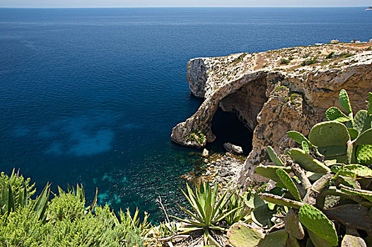 蓝色,洞穴,马耳他,欧洲