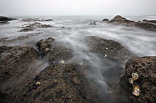 水,洗,上方,石头,海滩