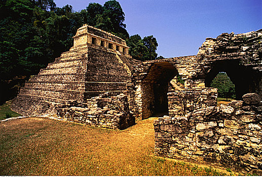 寺庙,铭刻,玛雅,遗址,帕伦克,恰帕斯,墨西哥
