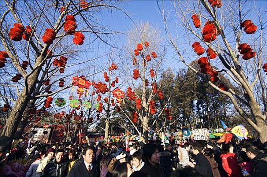 中国,北京,春节,人群,走,红灯笼,装饰,朝阳区,公园