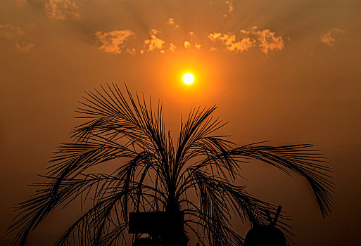 夕阳落日