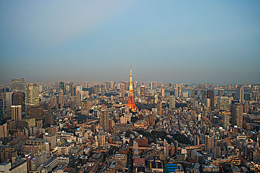 城市,风景,东京塔,东京,日本