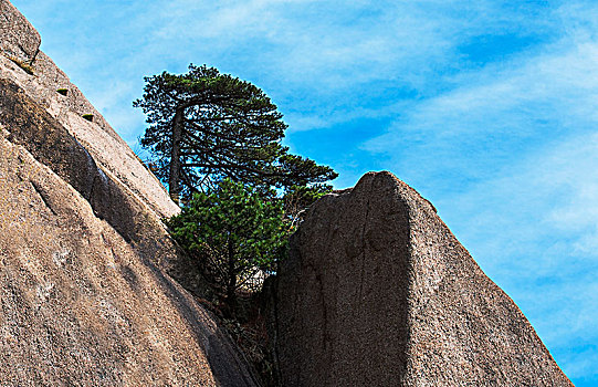 黄山风光