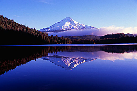 延龄草,湖,胡德山,胡德山国家森林