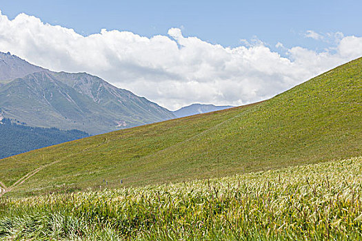 青海祁连县卓尔山美景