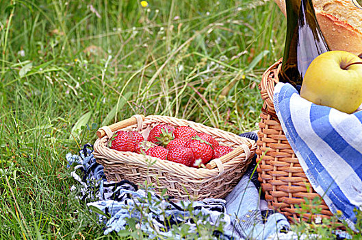 野餐篮,水果,葡萄酒,面包,草地,草莓,旁白