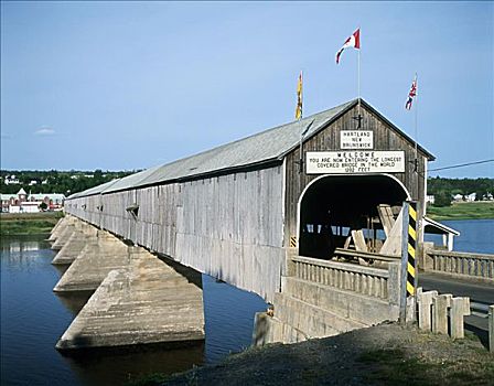 桥,新,加拿大