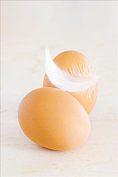 蛋,羽毛,平衡,上面