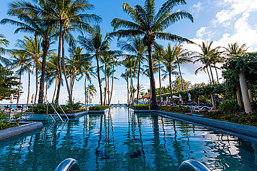 游泳池,棕榈树,苏梅岛