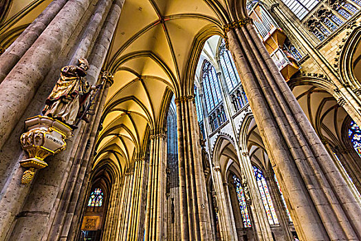 结构,框架,柱子,拱顶,天花板,室内,科隆大教堂,科隆,德国