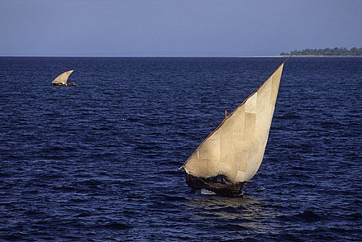 坦桑尼亚,桑给巴尔岛,帆船