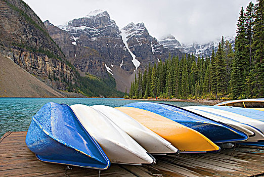 独木舟,排列,甲板,落基山脉,背景,艾伯塔省,加拿大
