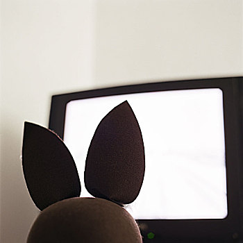 小兔,面对,电视,后视图