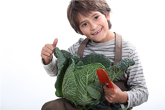 孩子,园艺,拿着,洋白菜