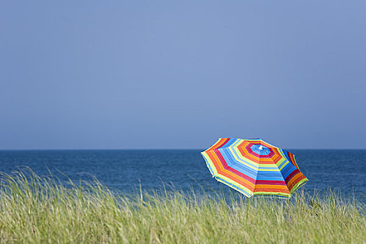 海滩伞