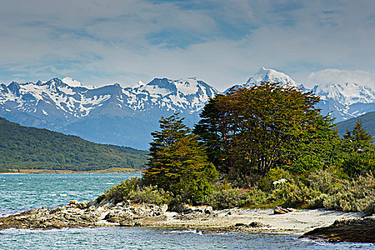 阿根廷,火地岛,火地岛国家公园,沿岸,小路