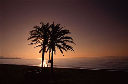 棕榈树,海滩,哥斯达黎加,西班牙
