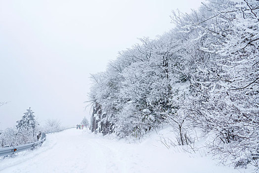 路茫茫,雪皑皑