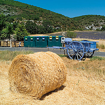 小麦,稻草包,古老,蓝色,垃圾箱,路边,普罗旺斯,法国