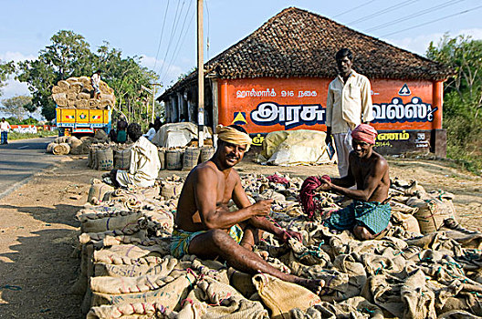 男人,包装,稻田,稻米,运输,道路,泰米尔纳德邦,印度南部,一月,2008年