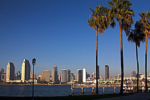 美国,加利福尼亚,圣地亚哥,天际线,棕榈树