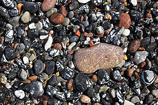 石头,鹅卵石,吕根岛,梅克伦堡前波莫瑞州,德国,欧洲