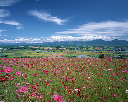 天宇,山