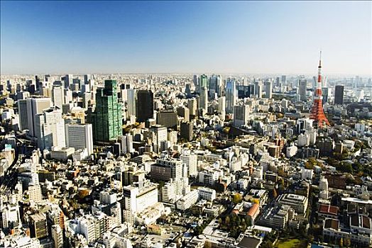 日本,东京,东京塔,城市,风景,眺望台