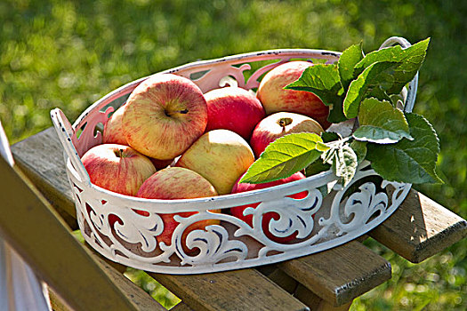 红苹果,金属,盘子,花园椅