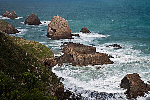 雷因格海角,北方,局部,新西兰,北岛