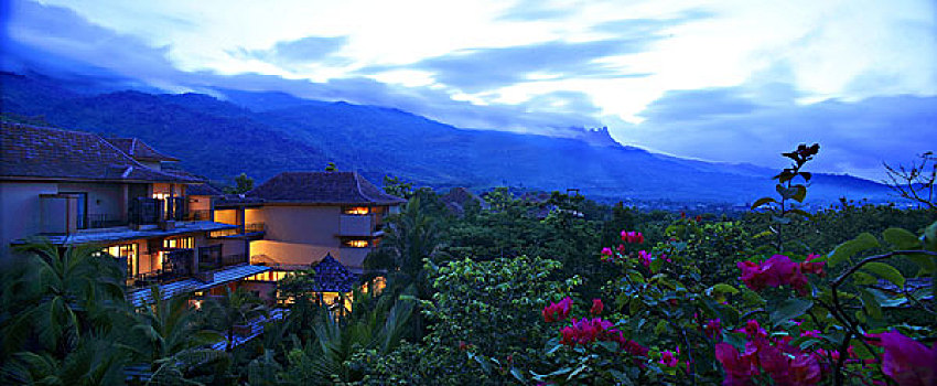 热带雨林温泉酒店