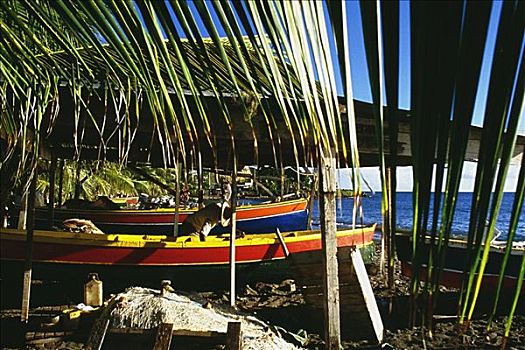 船,风景,渔村,岛屿,马提尼克岛