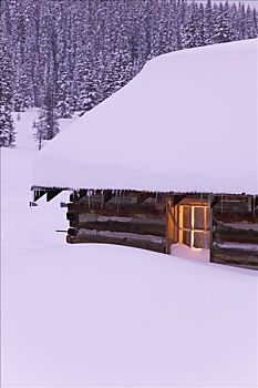 木屋,遮盖,大雪,科罗拉多,圣胡安,鲑鱼,湖,区域,早晨