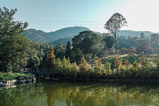 初冬12月登高羊城广州帽峰山沿途美景