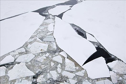 浮冰,风景,俄罗斯,破冰船,南极